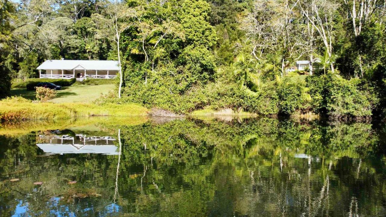 Nightcap Ridge - Byron Bay Hinterland photo 3