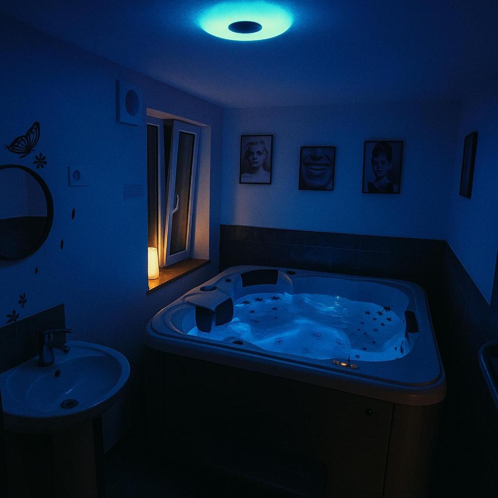 L'immortel GITE 2 AVEC OU SANS SPA - 3