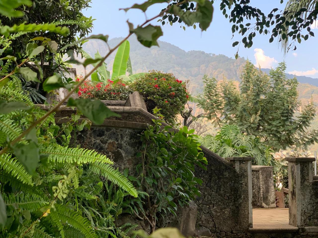Posada del Tepozteco - Hotel & Gallery photo 2