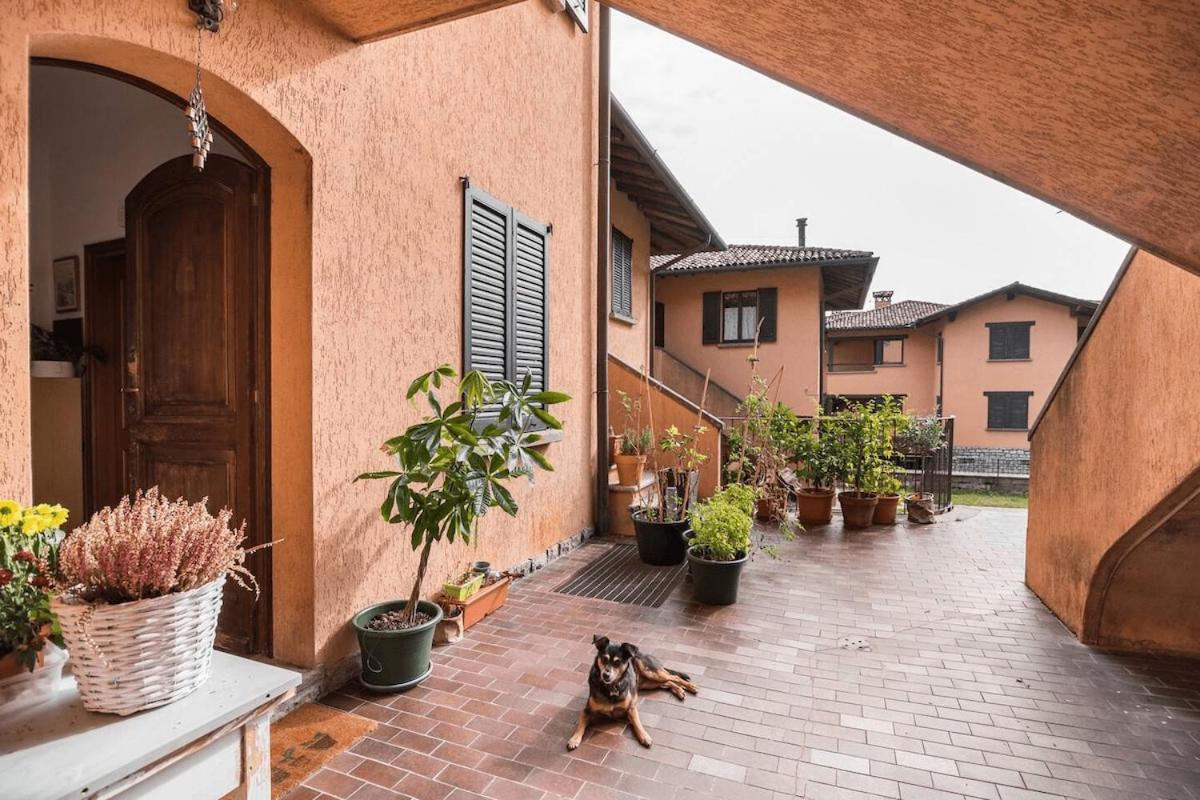 Cat lovers home - 6