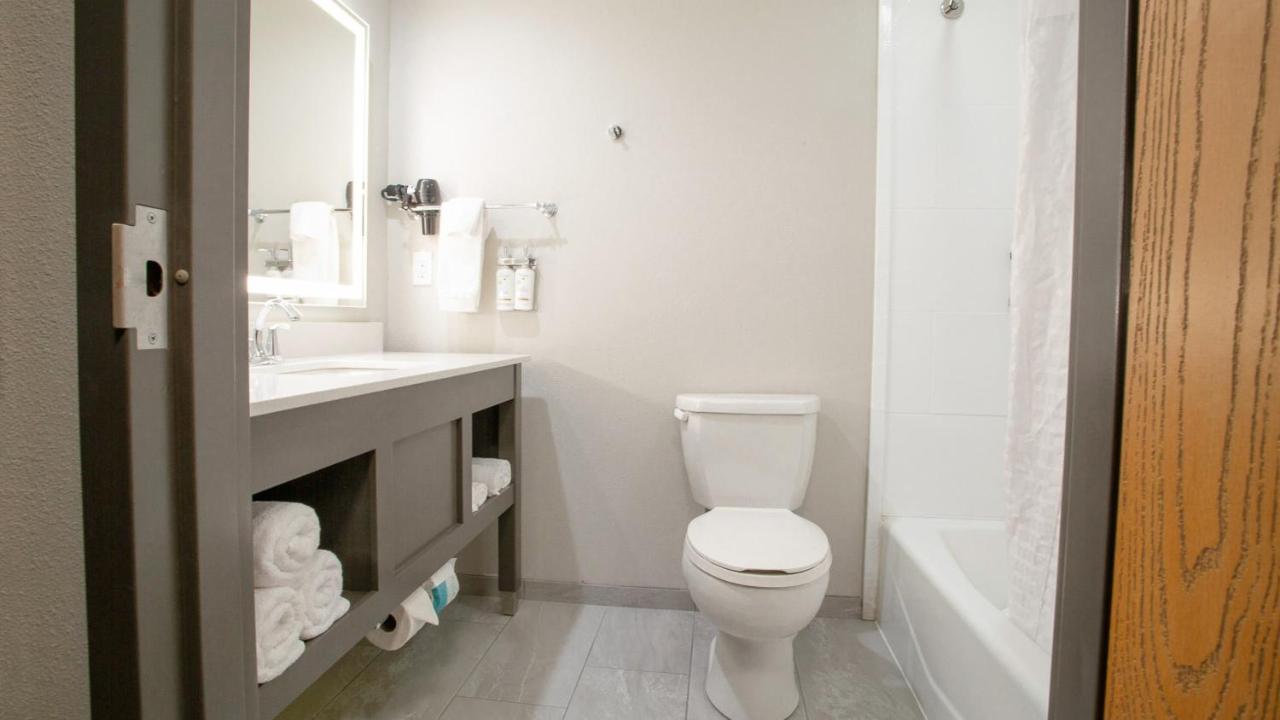 Holiday Inn Midland By IHG photo 4