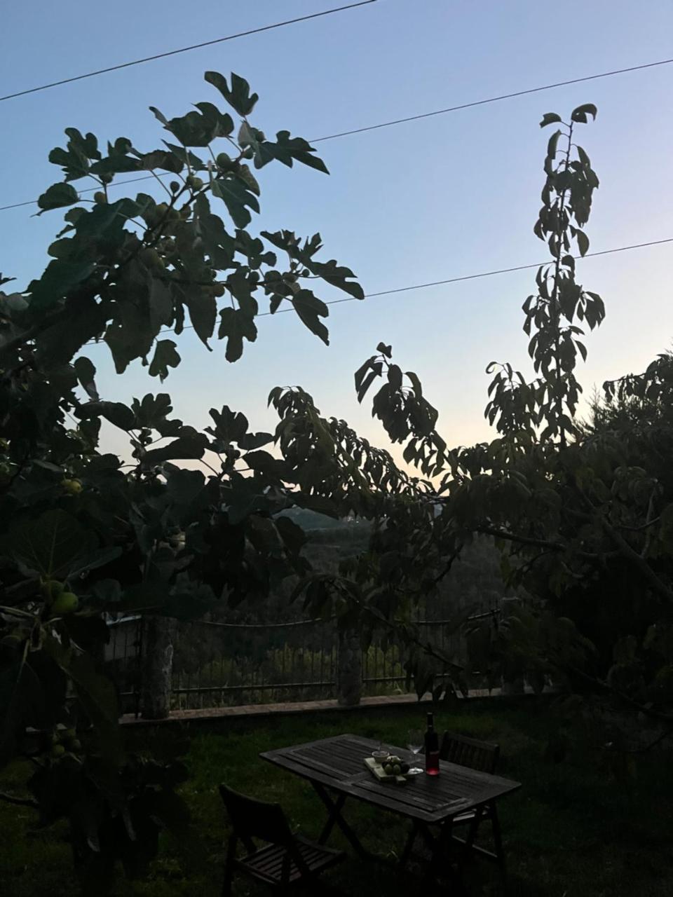La Quercia - 2