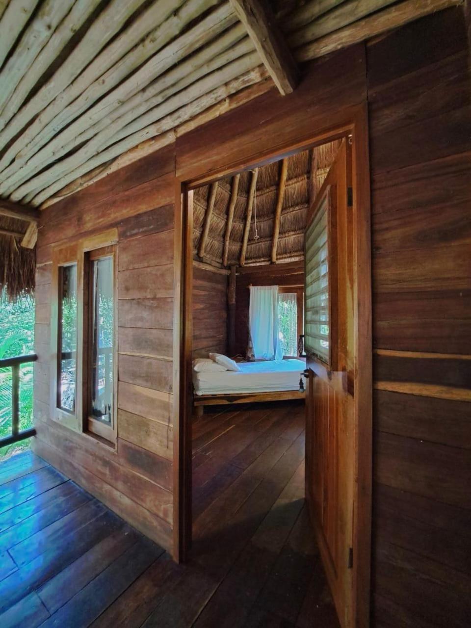 Casa Mango photo 2