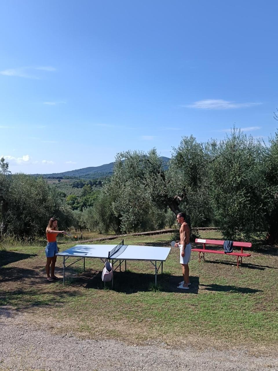 Casetta dell`Uliveto photo 4
