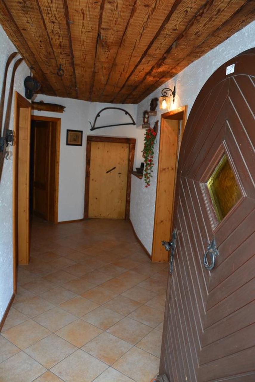 Apartment Zatrnik - 2