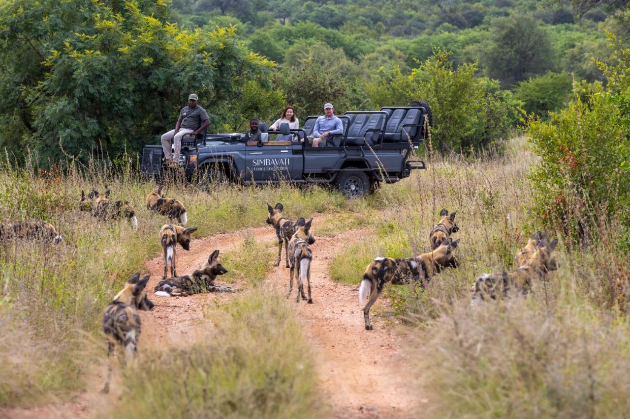 Simbavati Hilltop Lodge photo 3