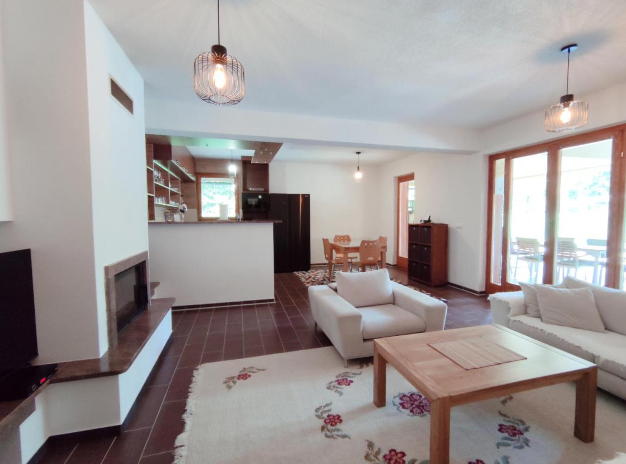 Villa Kamenica - 2