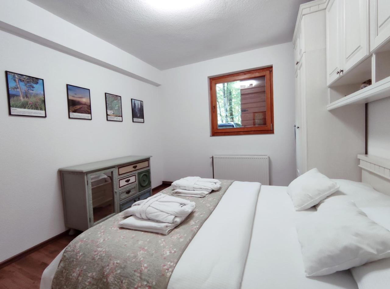 Villa Kamenica - 5