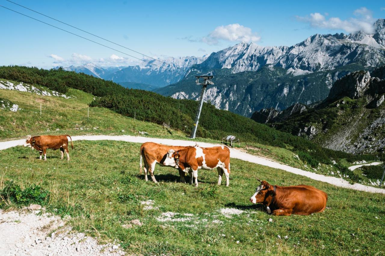 HENRI Hotel Garmisch-Partenkirchen photo 4