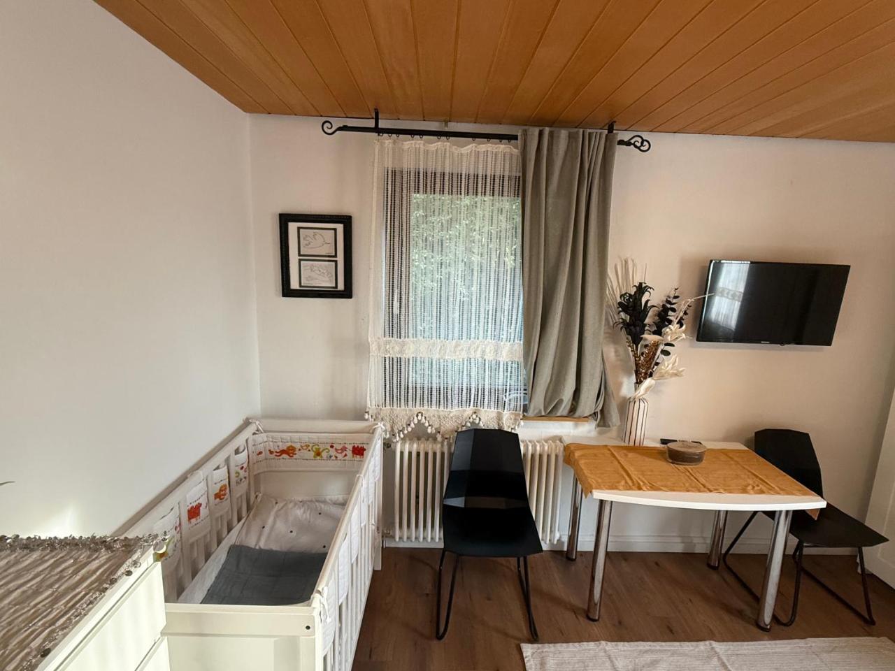 EMI2 Modern Apartment Free Parking Near Swiss Border - 4