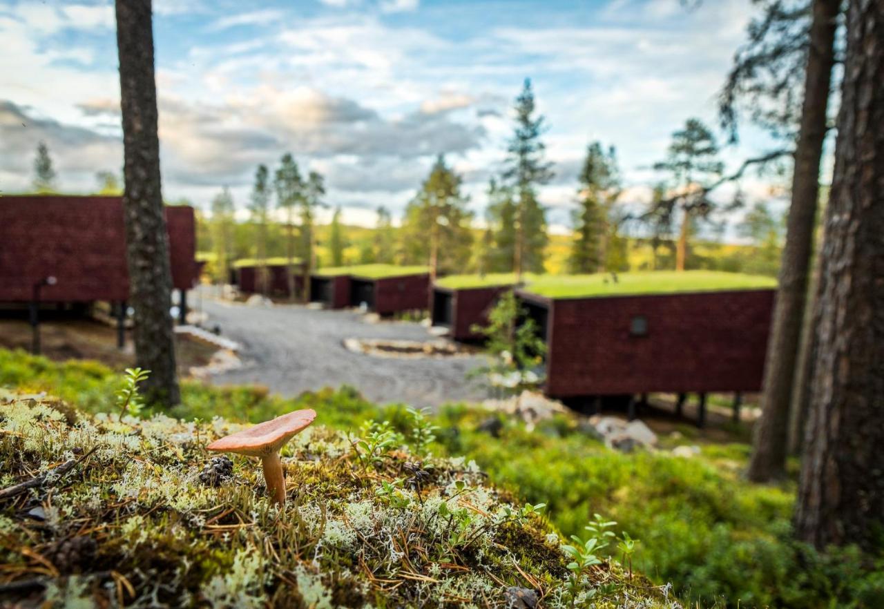 Arctic TreeHouse Hotel photo 2