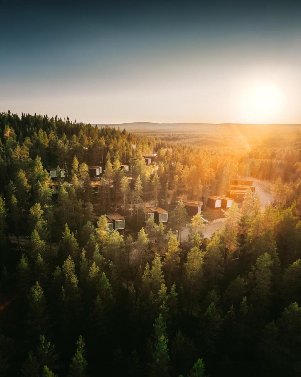 Arctic TreeHouse Hotel - 4
