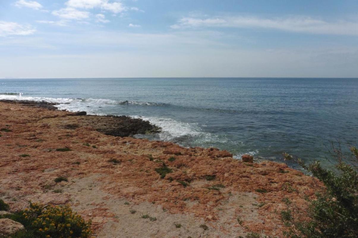 Nice seaside nest with private garden and carpark - 2