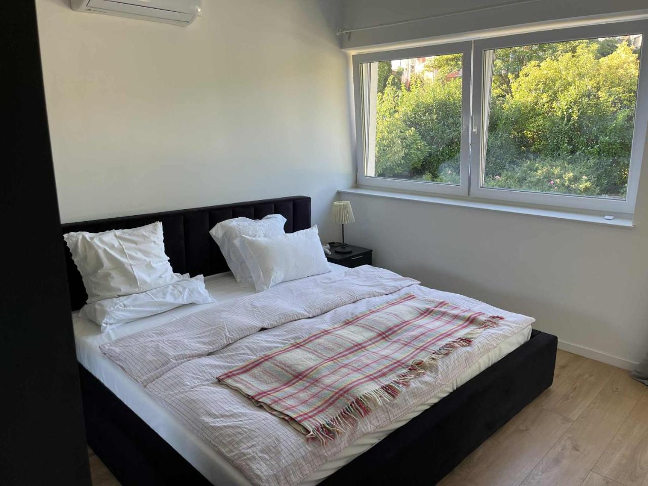 Mirror Hill Lodge - 6