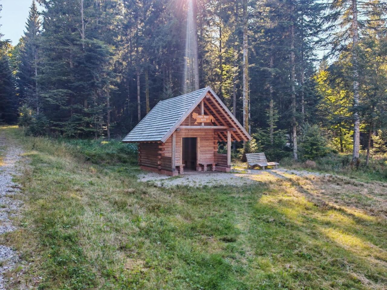 Gasthof "Zum Steinwald" photo 2