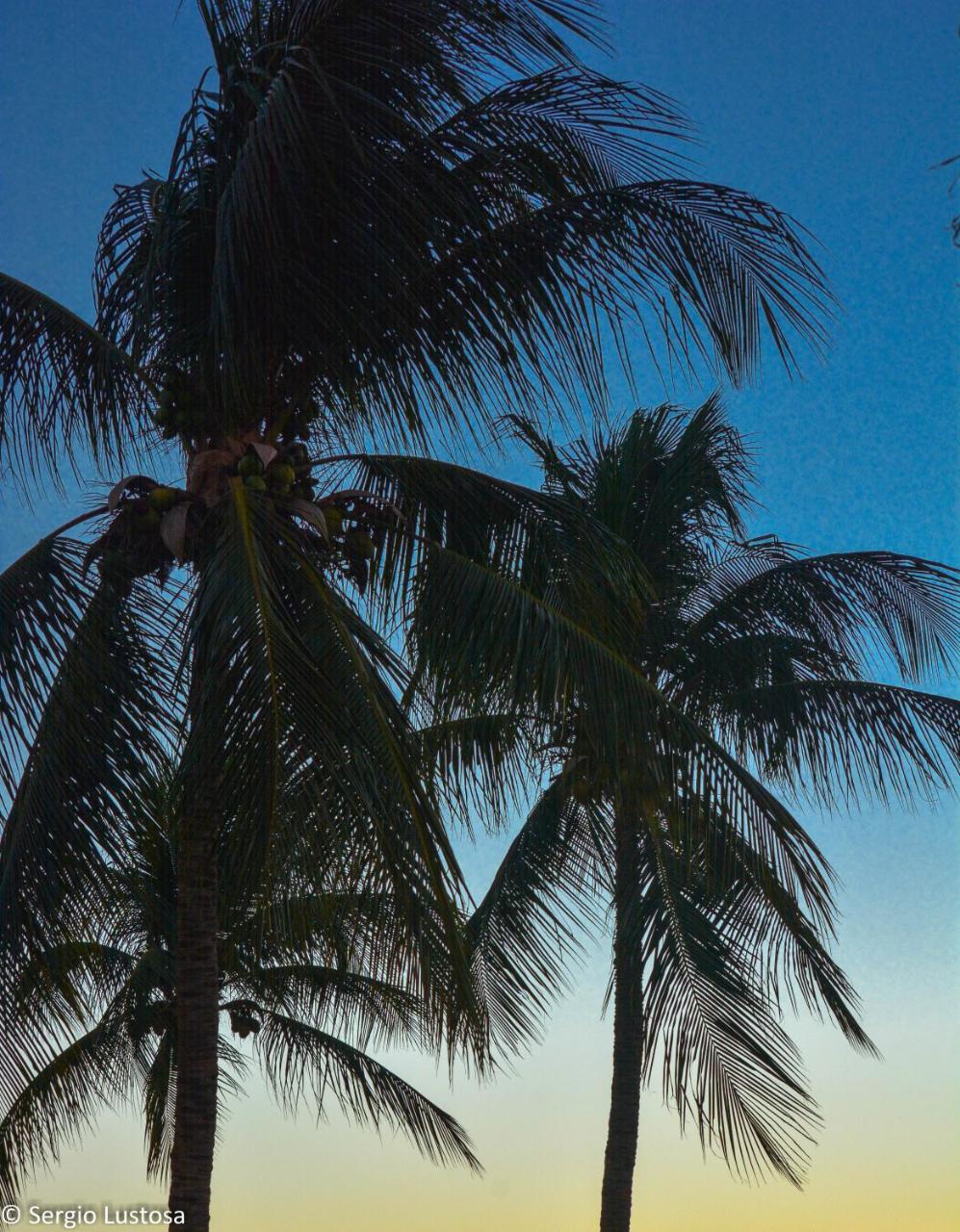 Fiesta Bahiana Club Hotel photo 4