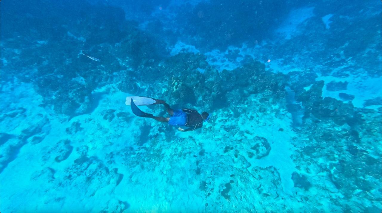 The Explorean Cozumel All Inclusive