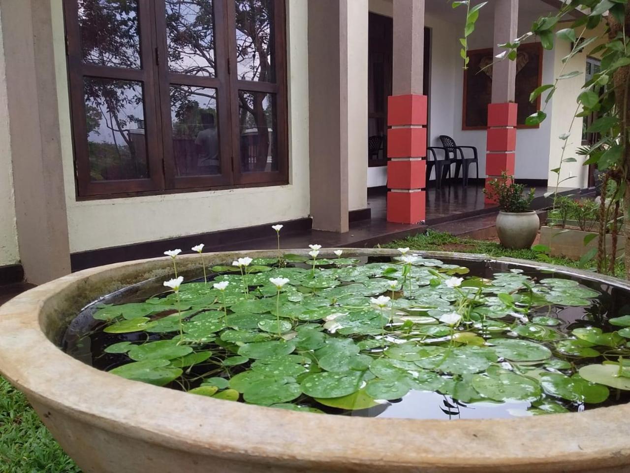 Leaf Dew Resort photo 2