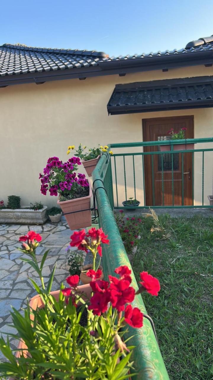 Hani i Leks Agroturizem photo 2