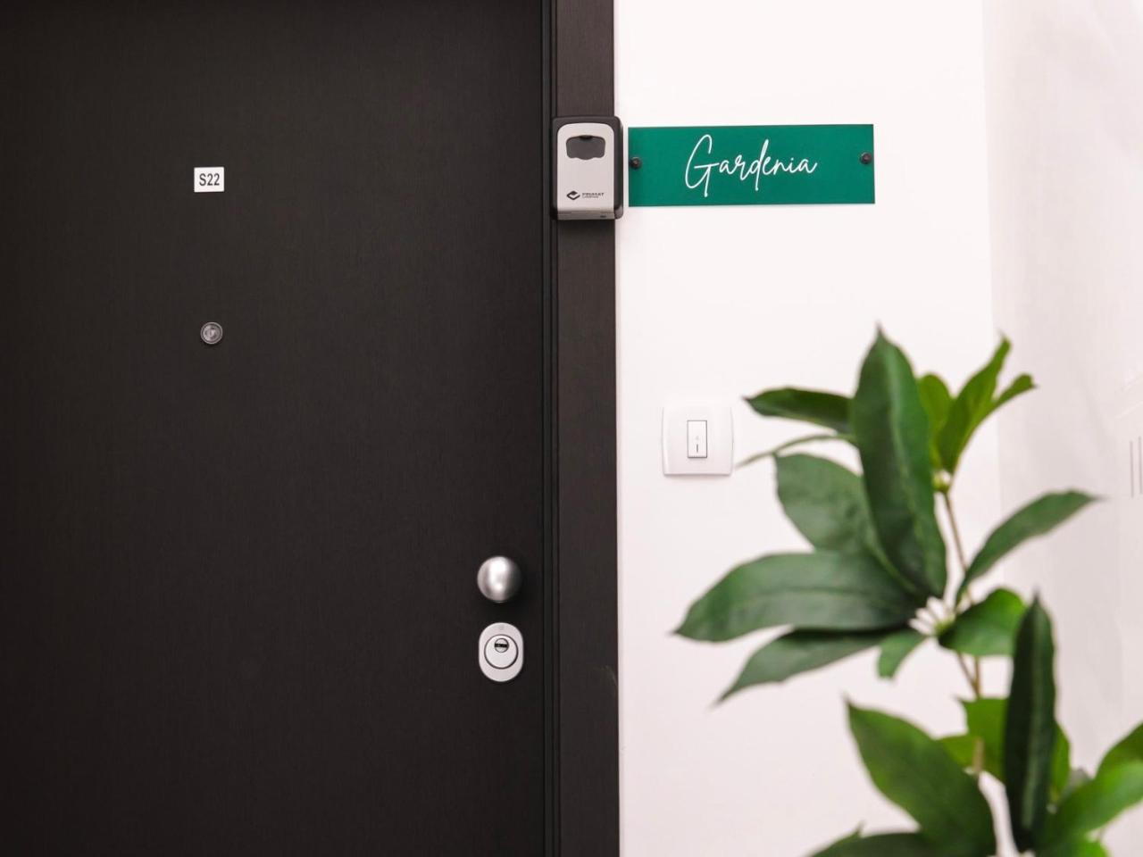 Gardenia - 2