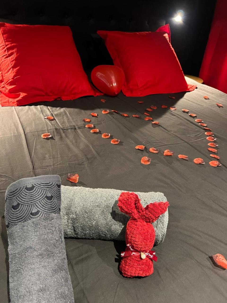 Luxueux appartement avec jacuzzi dans le centre de Macon ,snacking et cadeau - 3