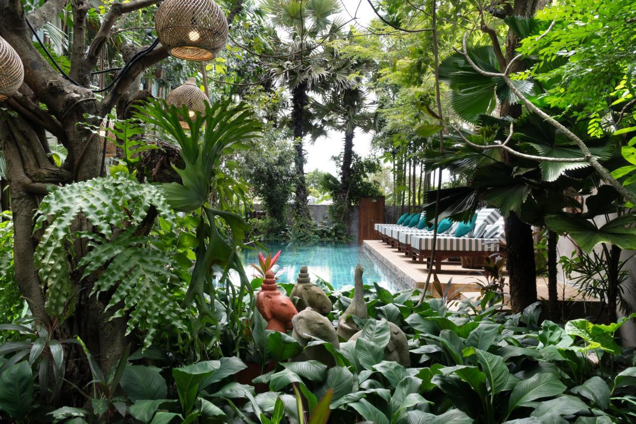 The Nature & Villas