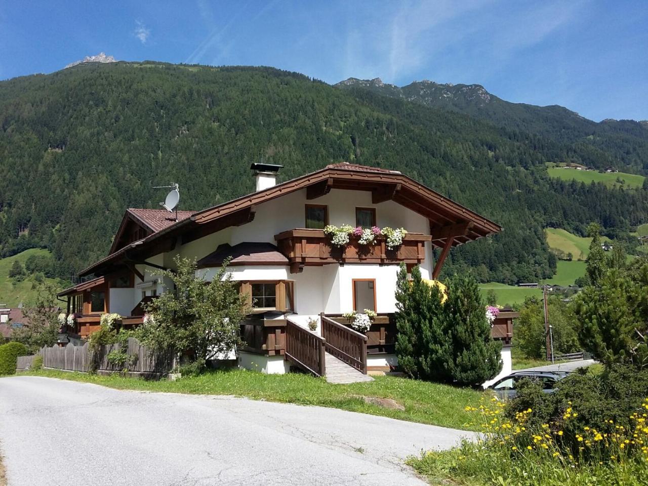 Haus Pinnistor - 3