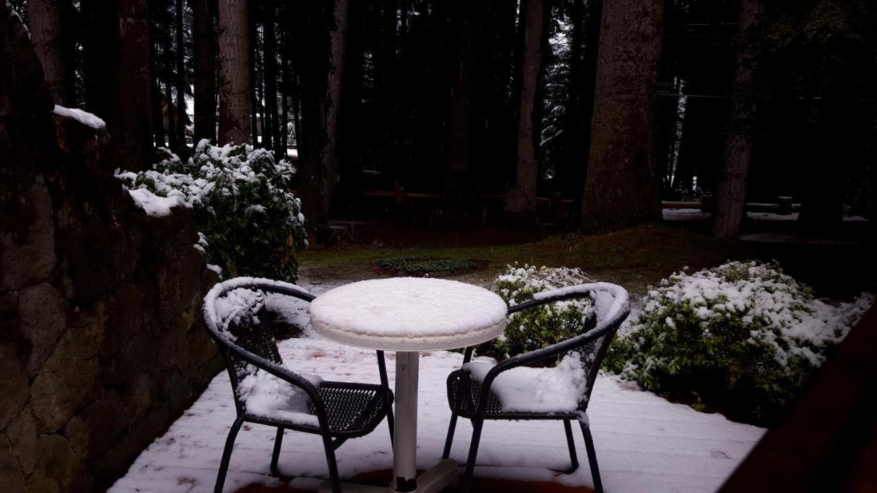 Photo - Casa Del Bosque Aparts