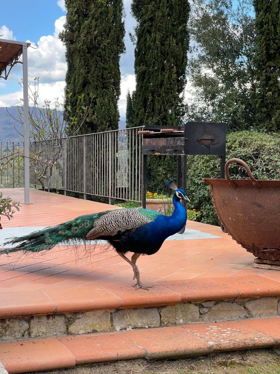 Terre di Baccio - 4