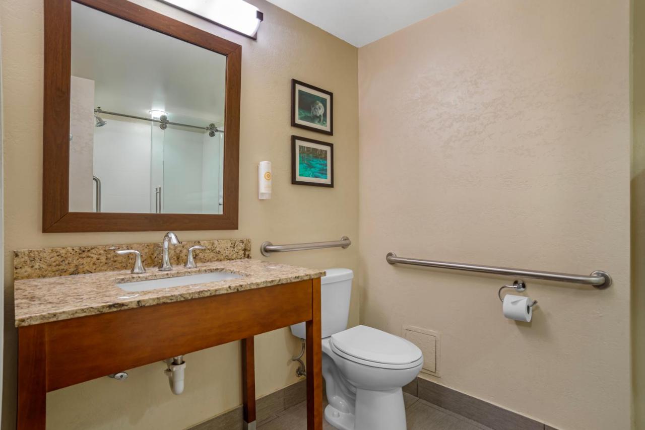 Comfort Suites Tallahassee Capitol - University Area photo 4