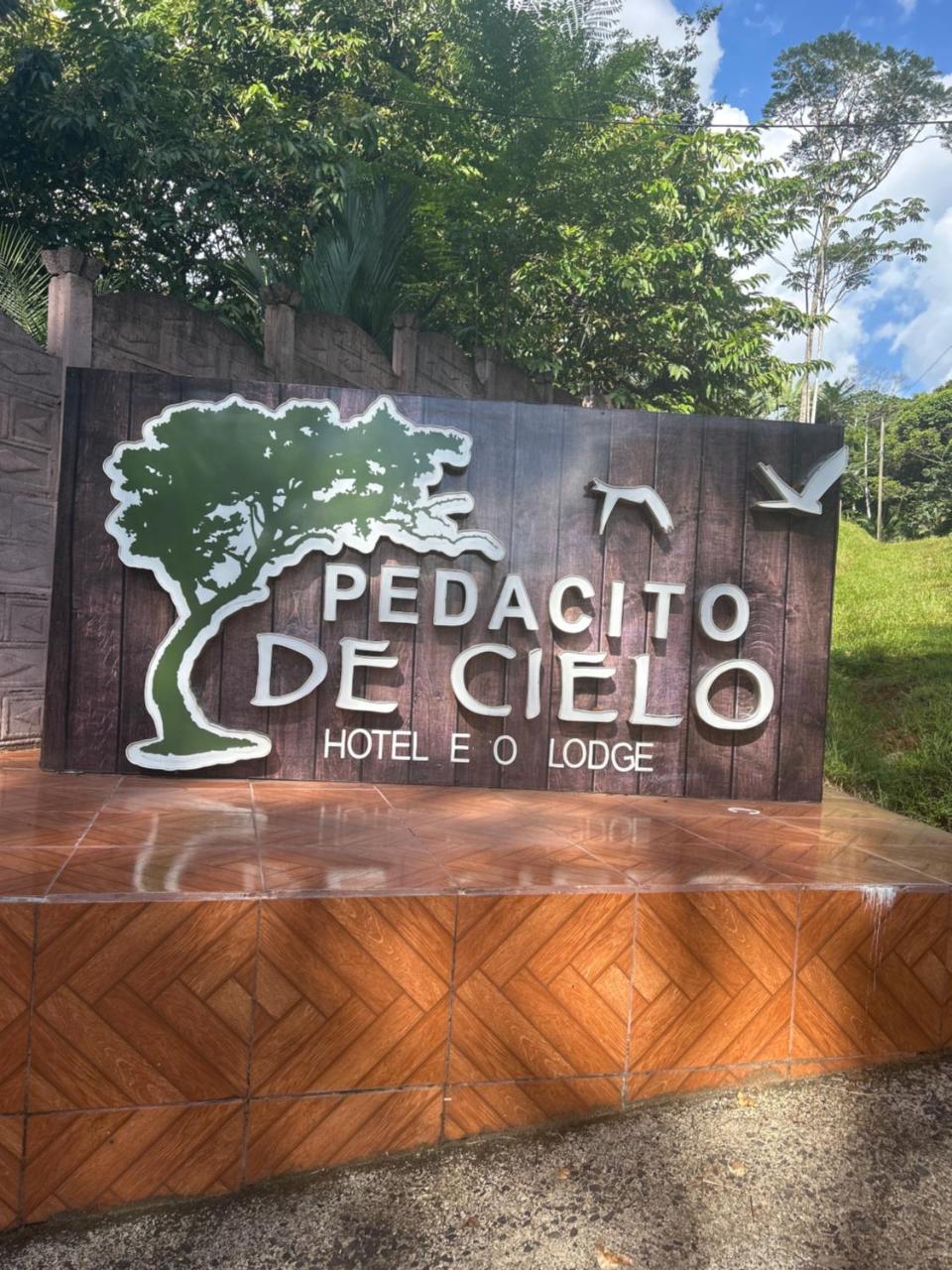 Hotel Pedacito de Cielo photo 3