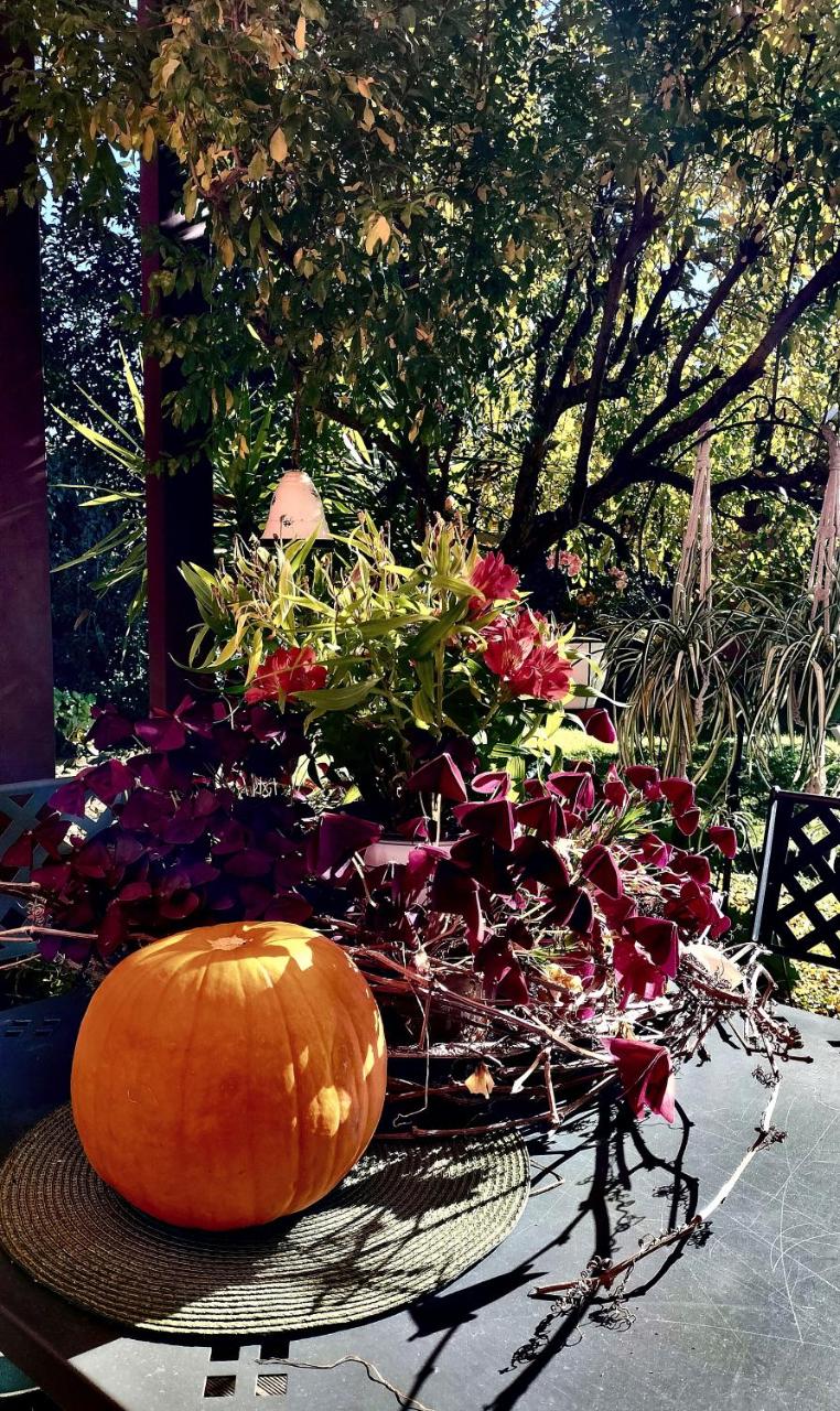B&B Terre Di Bea - 4