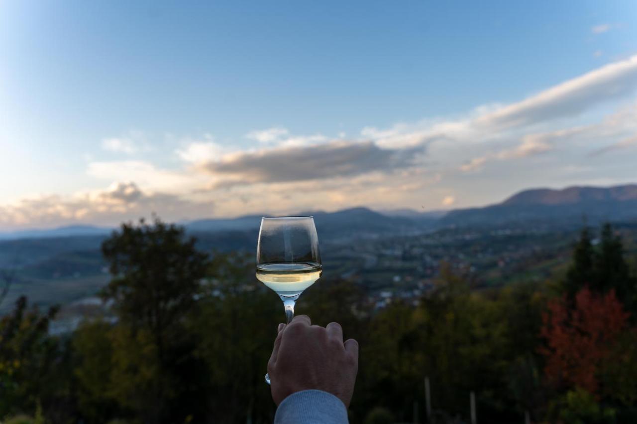 Ruralna kuća za odmor KOVIN BREG - 2