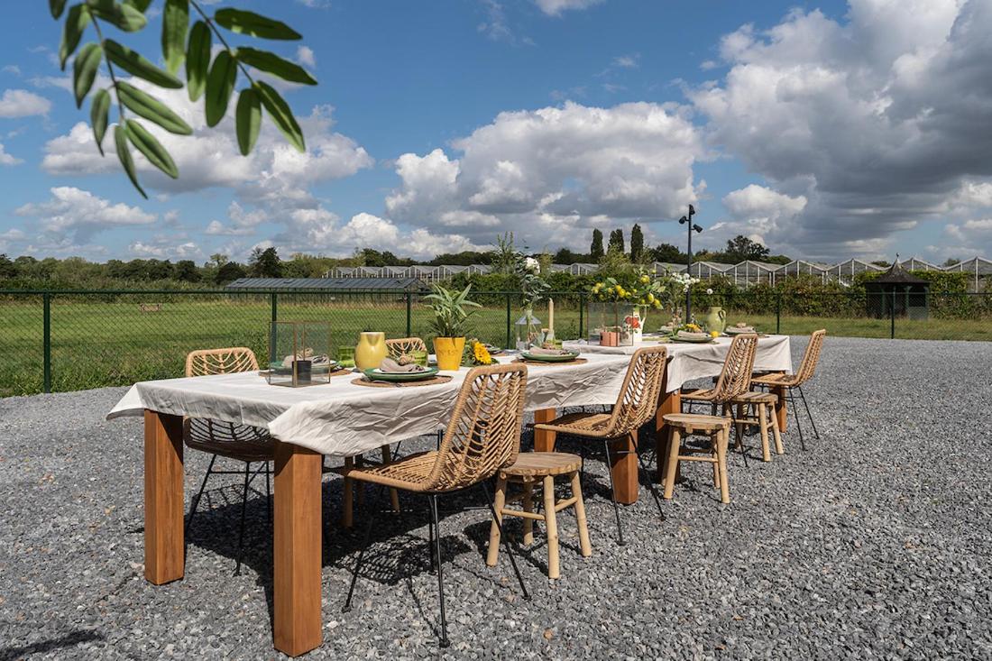 Nature Lodge Tilburg, 16 beds - 5