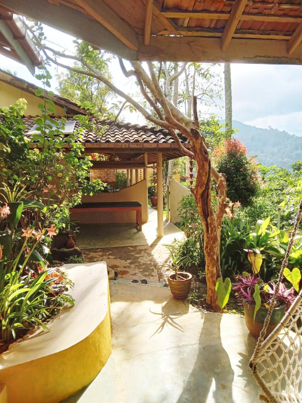 Natural Mystic Sanctuary photo 2