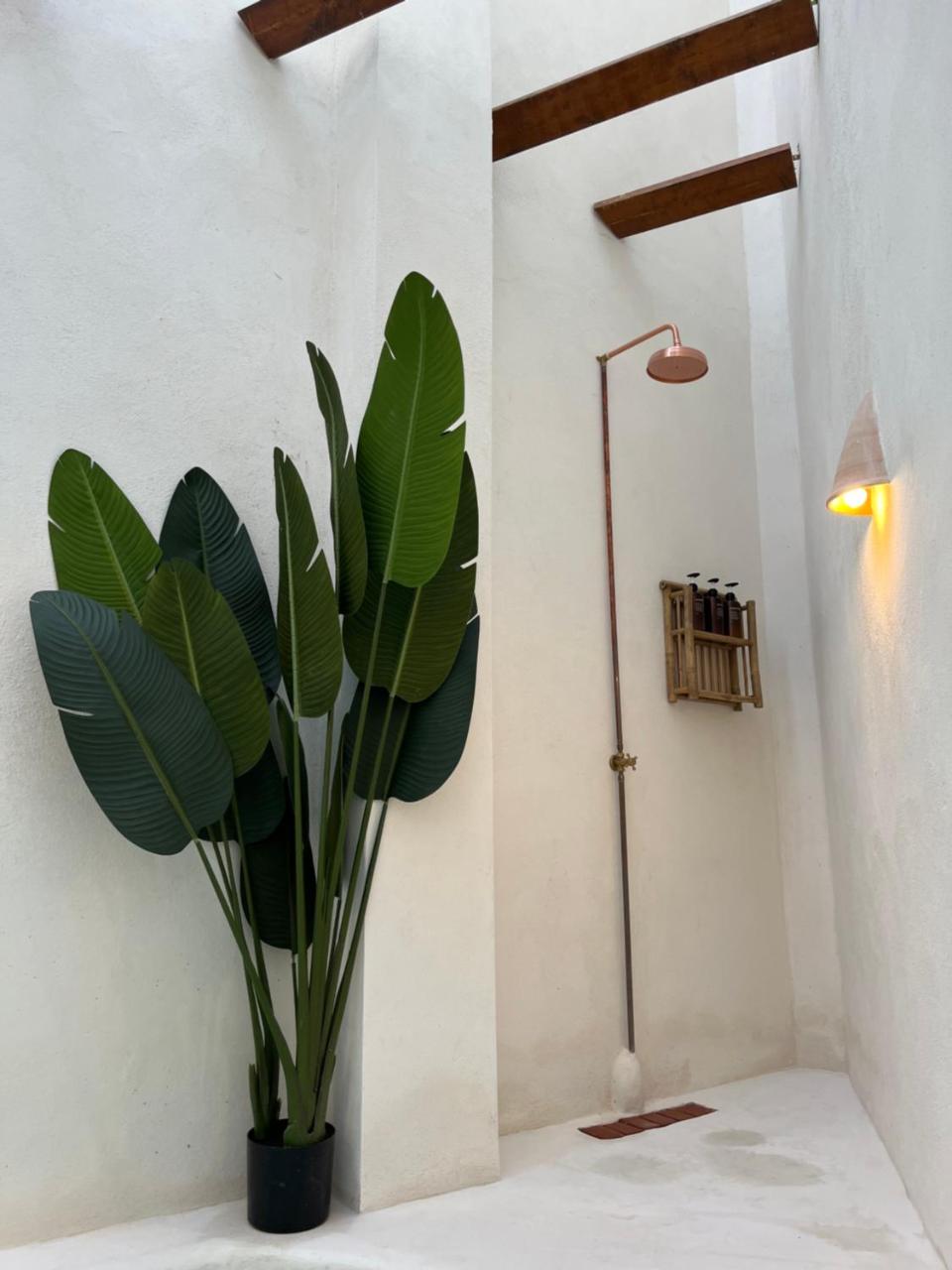 Apartamento acogedor frente a Plaza de la Iglesia - 5
