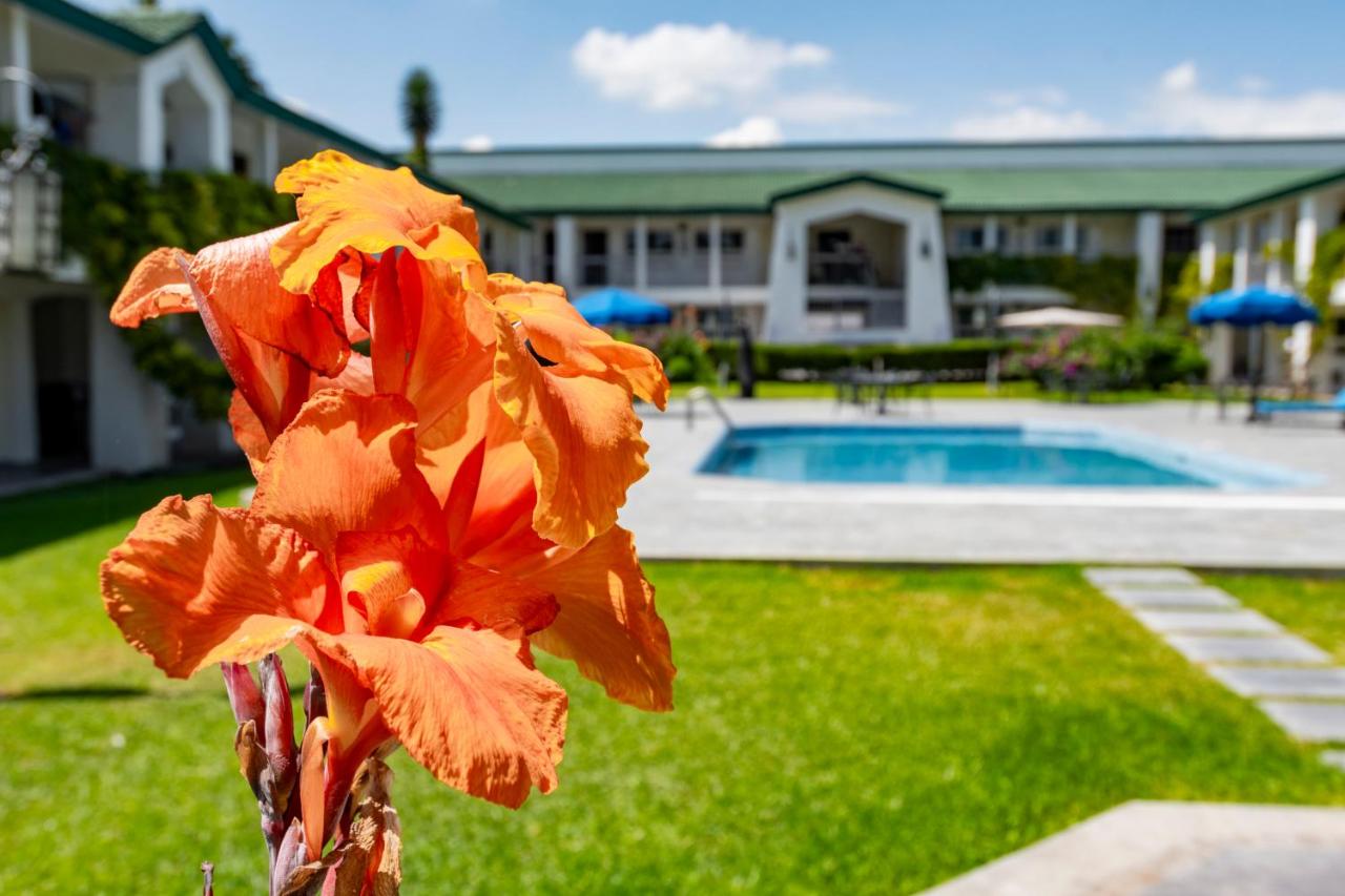 Foto - Quinta Dorada Hotel & Suites