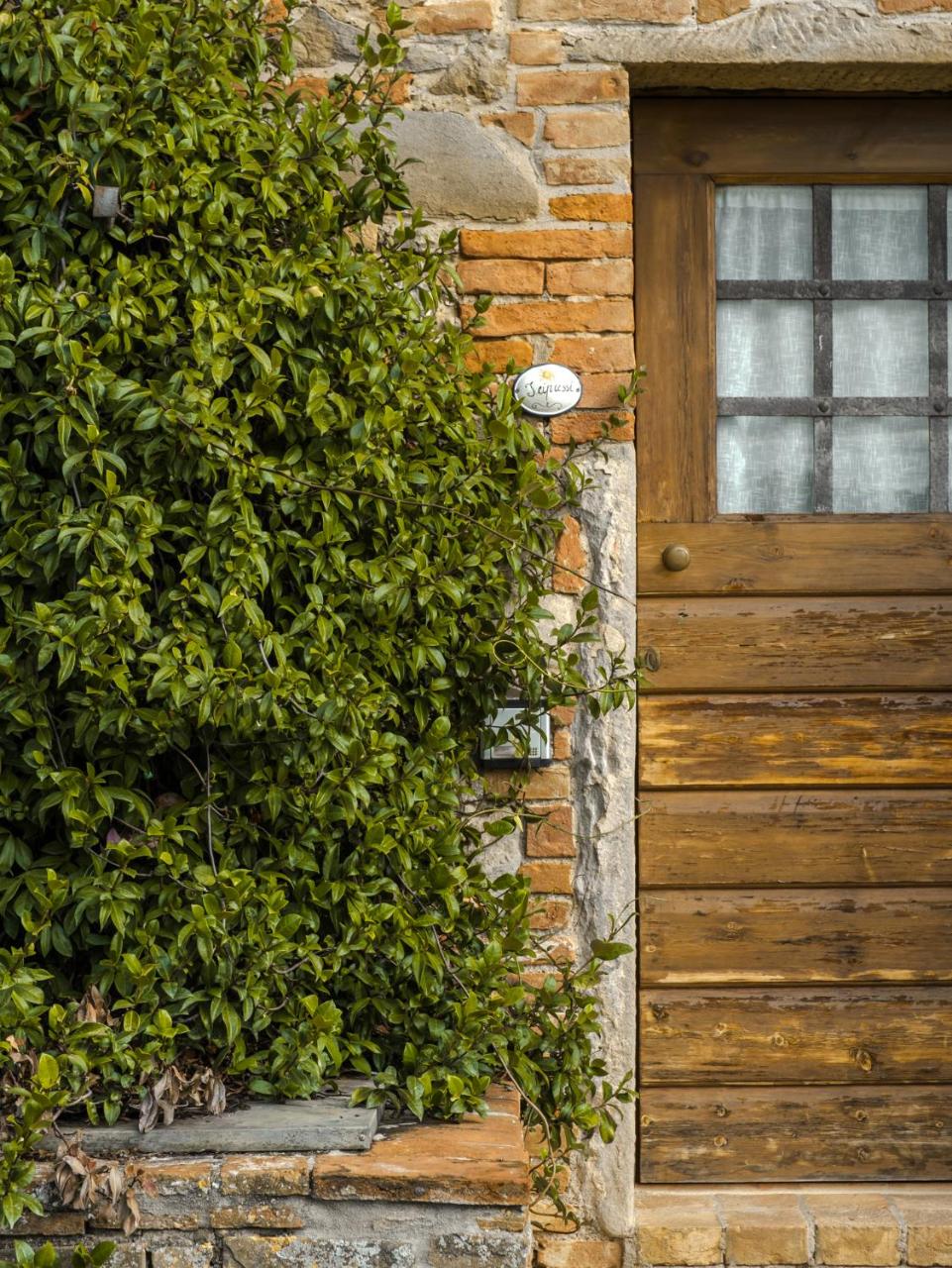 Fattoria di Colleoli photo 4