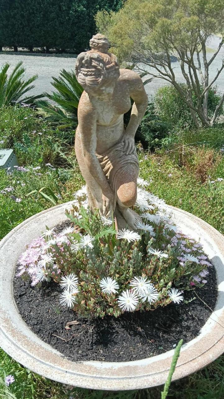 Nightingale Villas photo 2