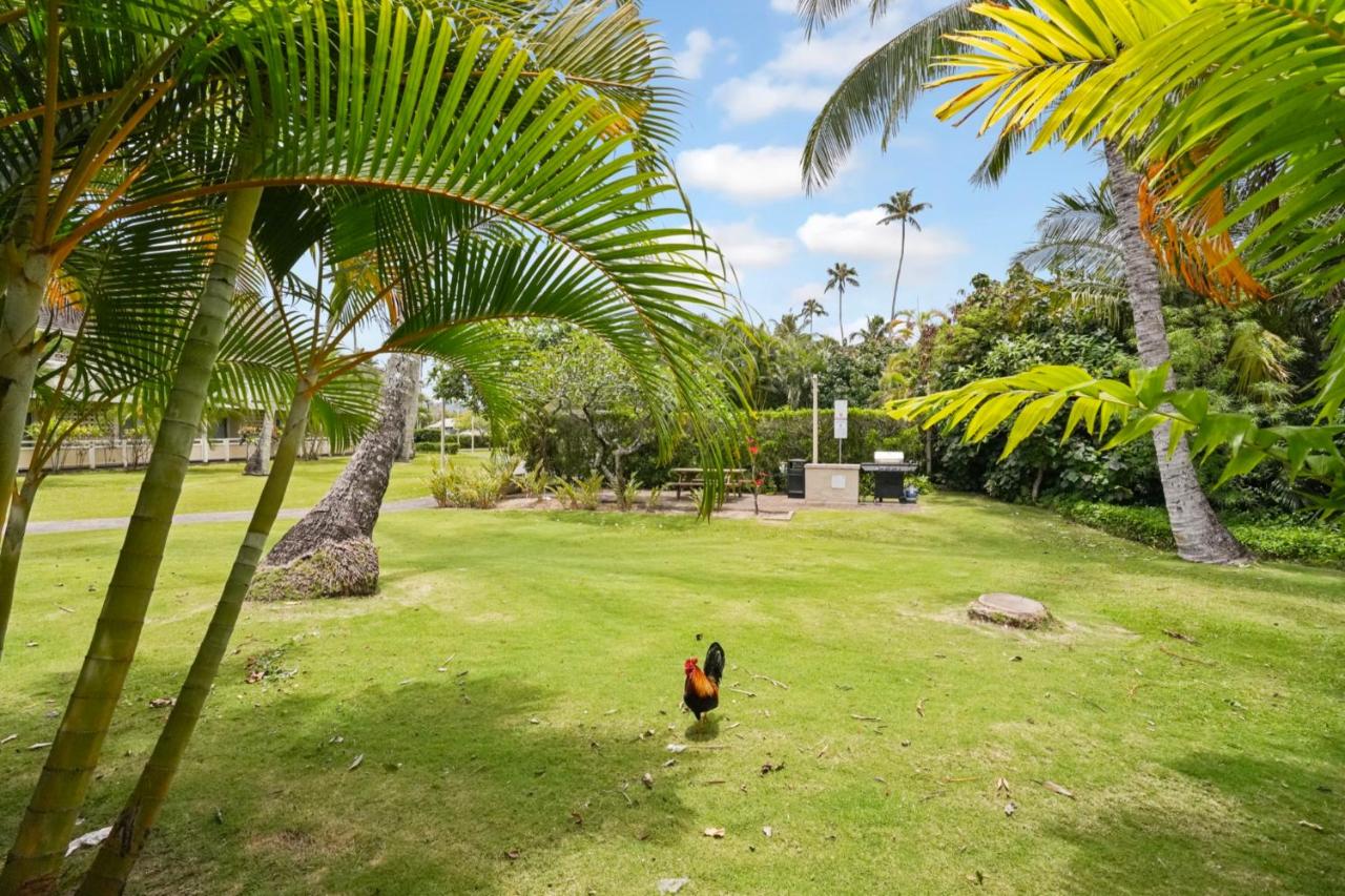 Kahaki Hale photo 2