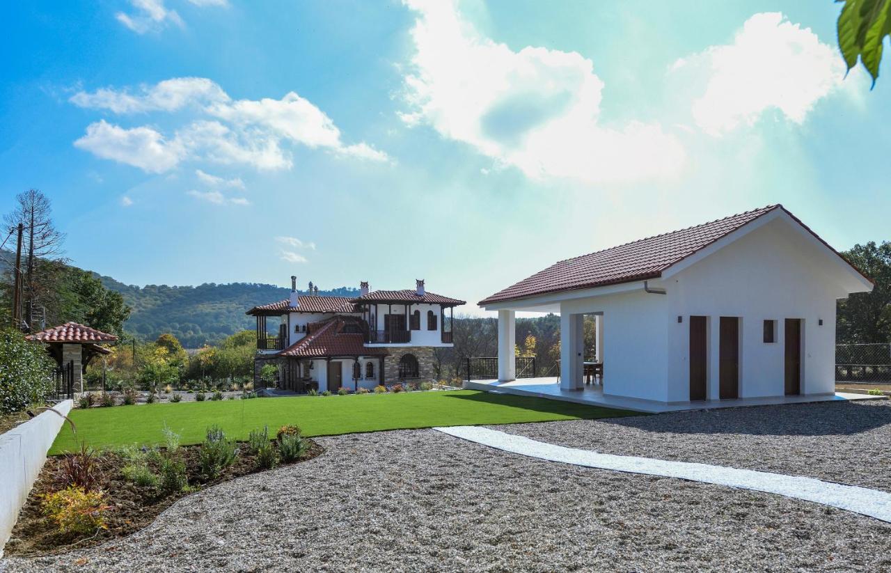 Vita Sacra Wellness - 5