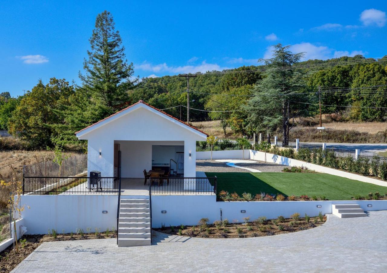 Vita Sacra Wellness - 6
