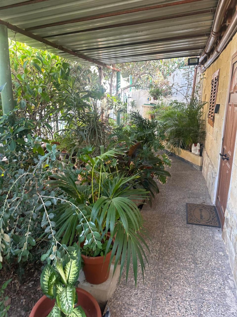 Photo - Casa Elisa Canarias
