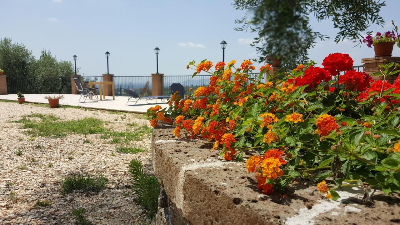 Il Merangolo photo 3