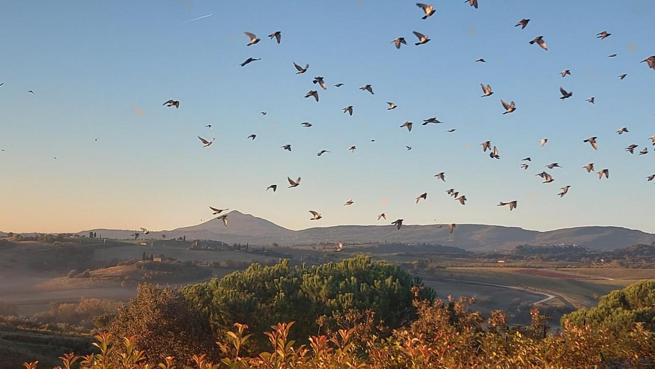 ESSENZA di TOSCANA apartment with view - 6