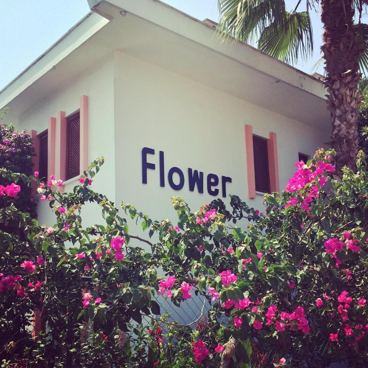 Photo - Flower Villa Apart