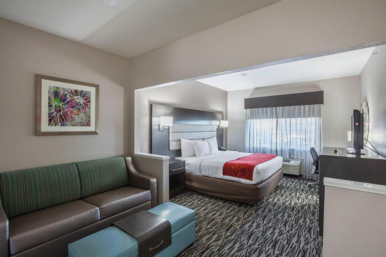 Comfort Suites Lewisville - Dallas photo 2