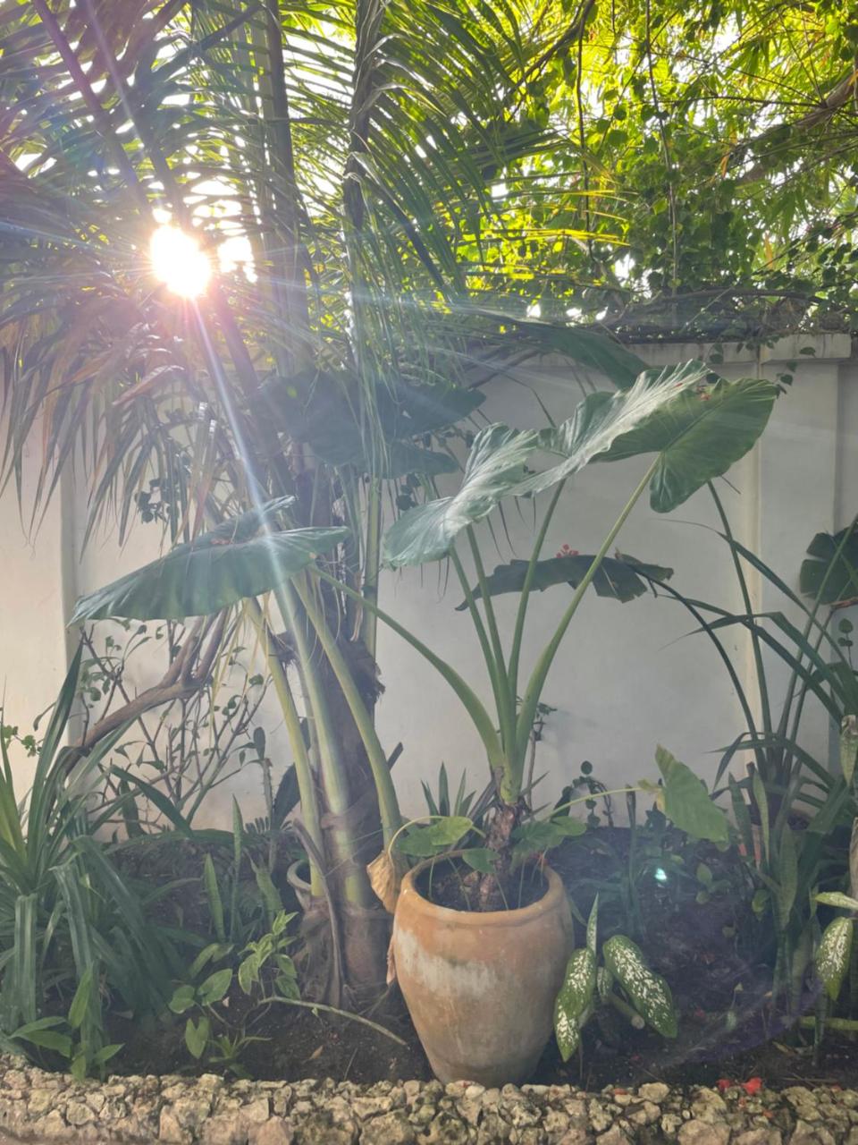Nakupenda paje villa photo 4