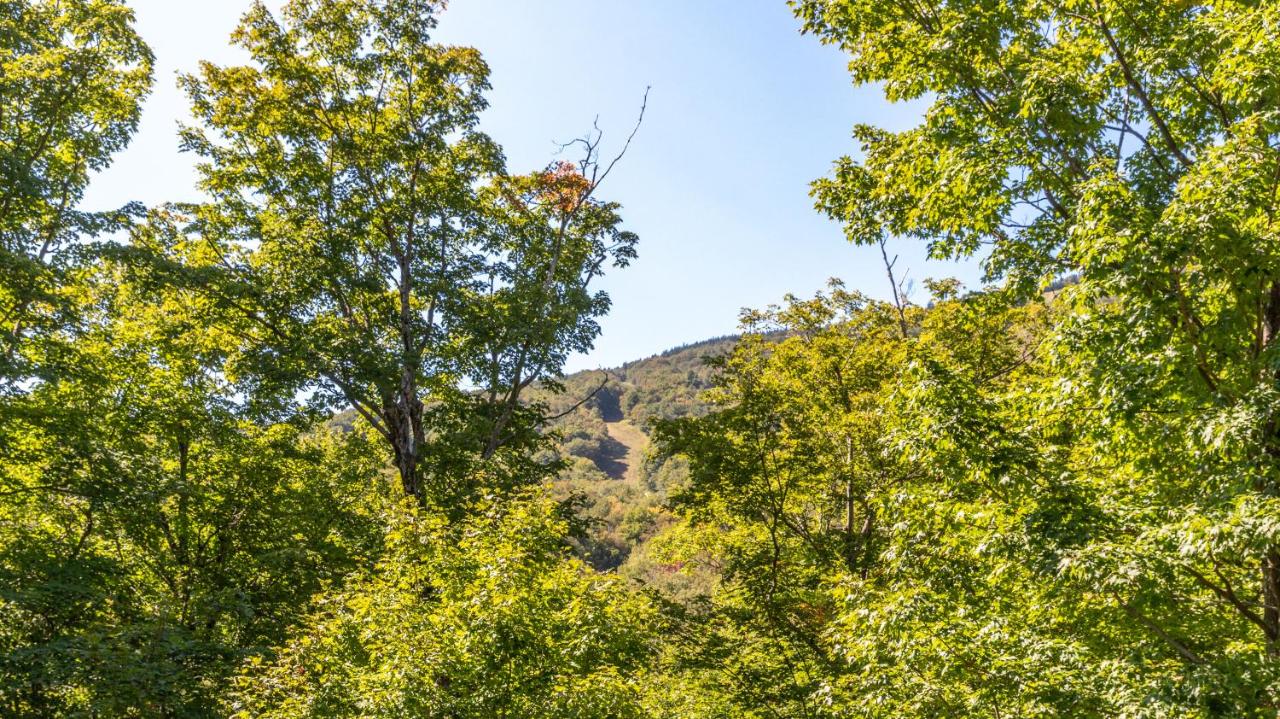 1125 Lodge At Spruce Peak Ski In Ski In Ski Out King Studio By Stowe Mountain Rentals photo 3