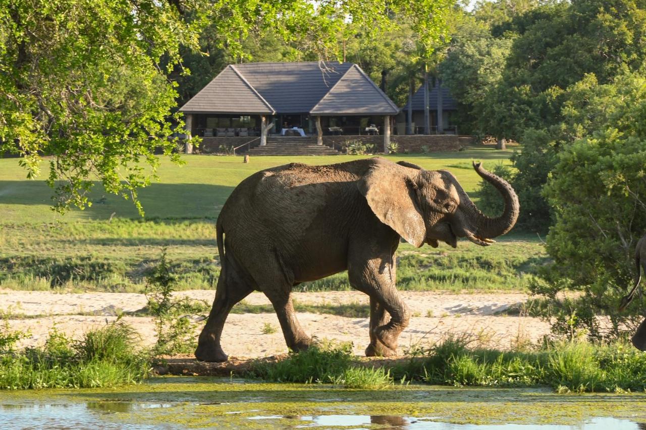 Inyati Game Lodge